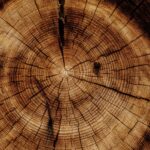 TREATED WOOD